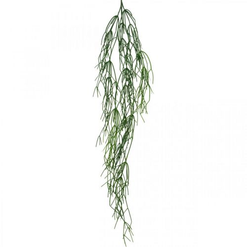 Floristik21 Deko-Ranken, Korallenkaktus, künstlicher Rhipsalis-Hänger Grün L120cm