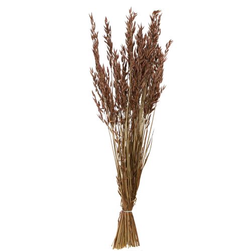 Artikel Hafer Trockendeko Braun 64cm 70-75g Naturdeko 2St