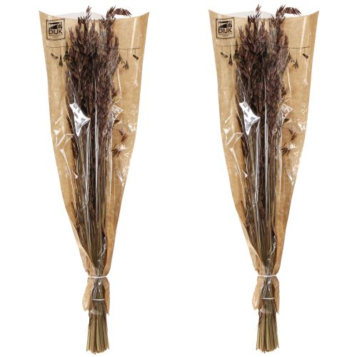 Artikel Hafer Trockendeko Braun 64cm 70-75g Naturdeko 2St