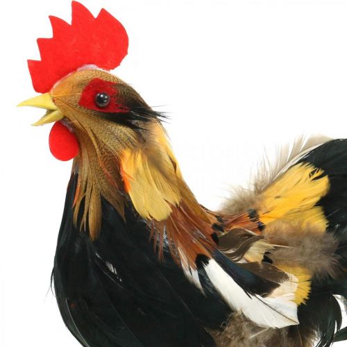 Floristik21 Deko Hahn mit Federn Gelb Frühlingsdeko Figur Ostern 24cm