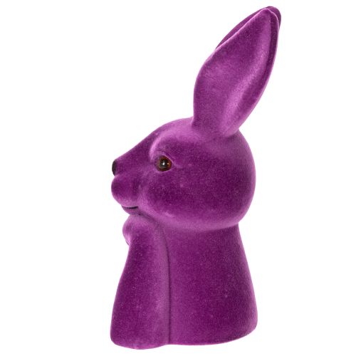 Hase Denkend Beflockt