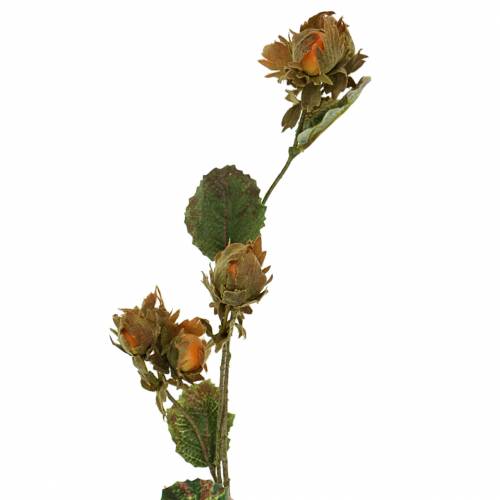 Floristik21 Haselnusszweig Grün/Braun 84cm