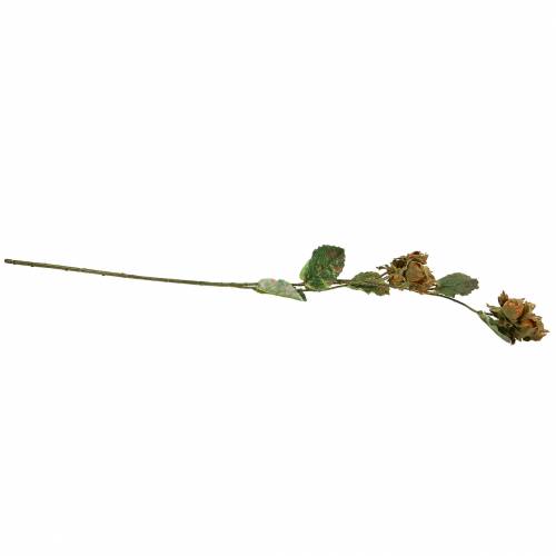 Floristik21 Haselnusszweig Grün/Braun 84cm