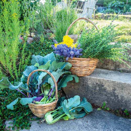 Artikel Henkelkorb aus Weide Ø20/24/30cm Präsentkorb natur 3er-Set