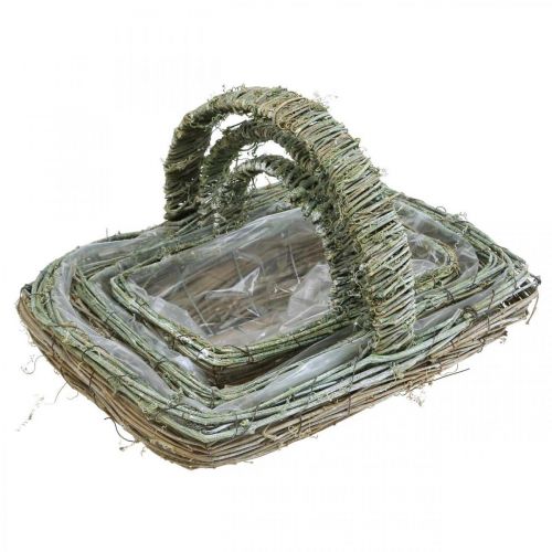 Floristik21 Korb zum Bepflanzen, Blumenkorb, Rebenzweige Shabby-Chic L42cm/34cm/28cm 3er-Set