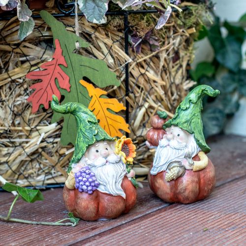 Floristik21 Herbstwichtel Kürbis Deko Wichtel Figur Sortiert H11,5cm 2St