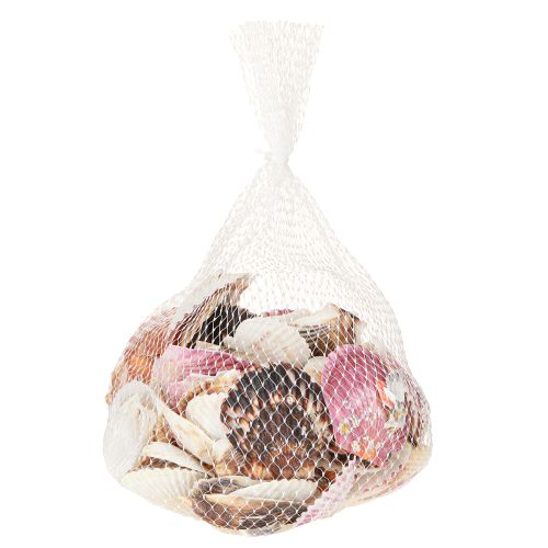 Artikel Herzmuscheln Natur Deko 3cm–5cm 300g Maritim Basteln Floristik21