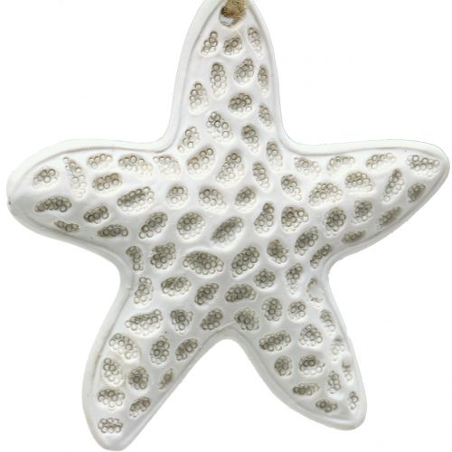 Dekohänger Seestern, Seepferdchen 12cm 3St