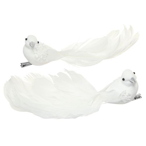 Floristik21 Taubenpaar 22cm am Clip Weiß
