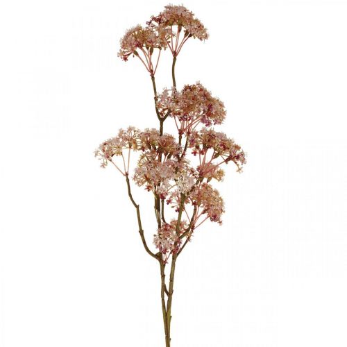 Floristik21 Blühender Deko Zweig Altrosa Künstliche Wiesenblumen 88cm