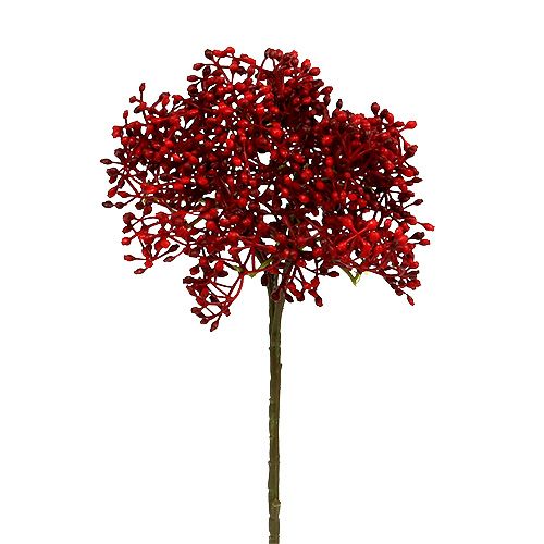 Holunderblütenzweig Rot 55cm 4St