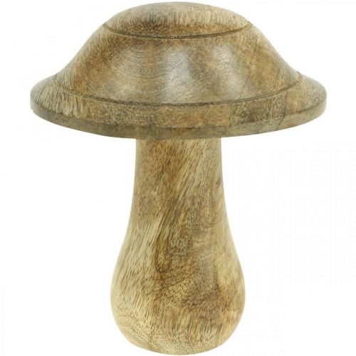 Floristik21 Holzpilz mit Rillen Holzdeko Pilz Mangoholz Natur 11,5×Ø10cm