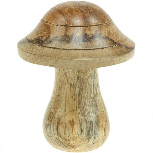 Floristik21 Holzpilz mit Rillen Herbst Deko Pilz Natur Mangoholz 10×Ø8cm