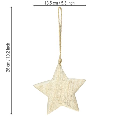 Artikel Holzstern Natur Weihnachtsanhänger Ø13,5cm für Floristen