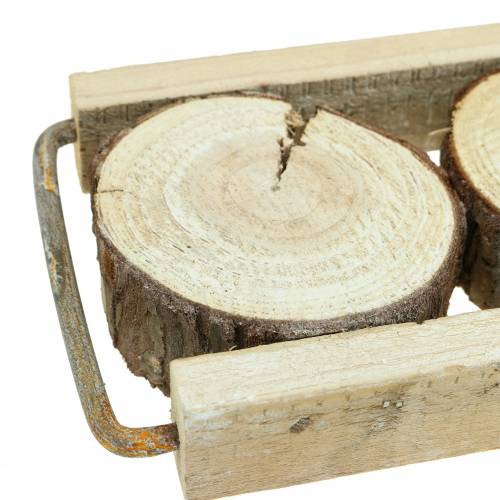 Floristik21 Dekotablett Holz mit Baumscheiben 34cm x 12cm H3cm