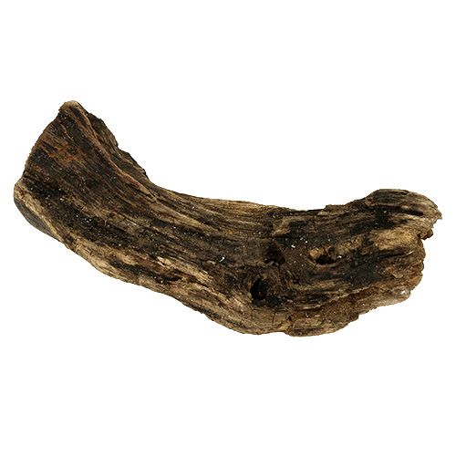 Holzwurzel Natur 6cm-13cm 500g