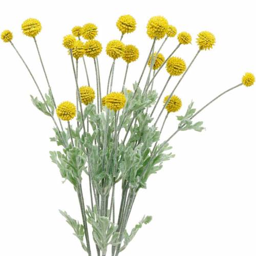 Artikel Trommelstöckchen Gelb Künstliche Craspedia Seidenblumen