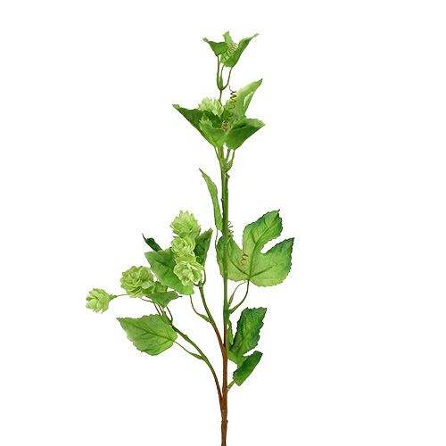 Floristik21 Hopfenzweig 70cm Grün 2 St Künstliche Pflanze