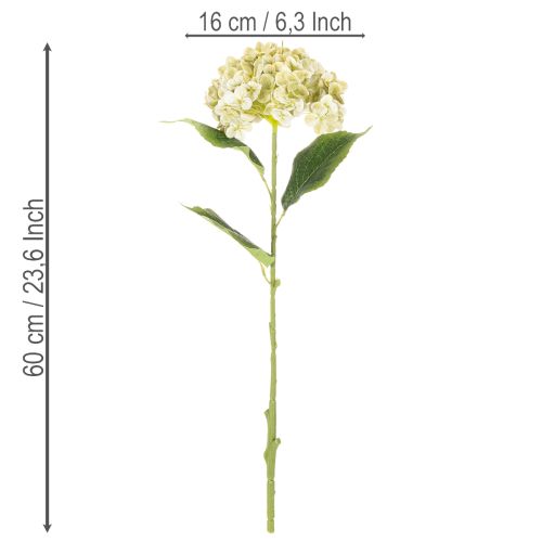 Artikel Künstliche Hortensie 60cm Creme-Grün mit Drahtkern
