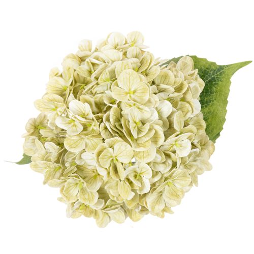 Künstliche Hortensie 60cm Creme-Grün mit Drahtkern | Floristik21.de