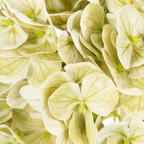 Künstliche Hortensie 60cm Creme-Grün mit Drahtkern | Floristik21.de