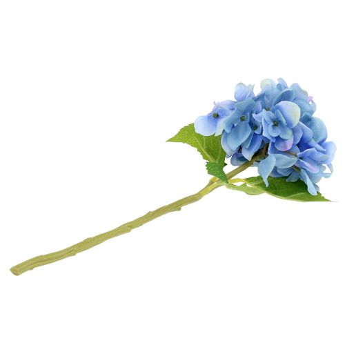 Hortensie Blau 36cm