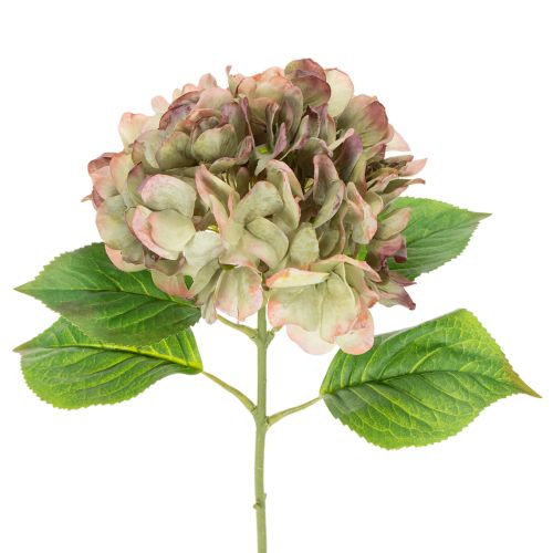 Künstliche Hortensie mit Stiel 46cm hellgrün-rosa einkaufen | Floristik21.de