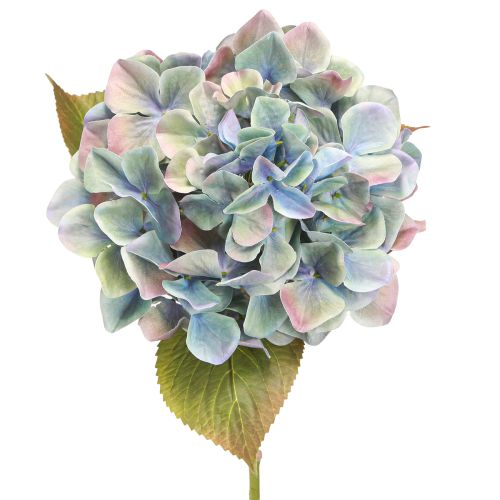 Artikel Hortensie künstlich Blau Violett Ø18cm L69cm 2St - Elegante Deko für Floristen