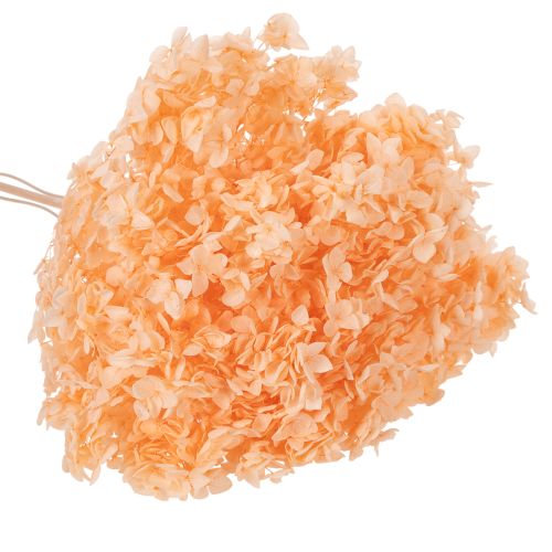 Artikel Getrocknete Hortensien Trockenblumenstrauß 65 cm für Innenbereich