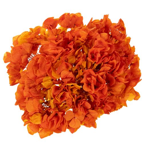 Konservierte Hortensie Orange, Blüten-Ø 20 cm, Stiellänge 60 cm | Floristik21.de