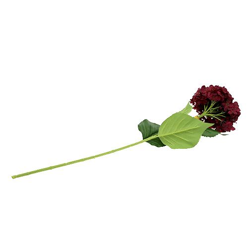 Floristik21 Hortensie künstlich Dunkelrot 80cm 1 St