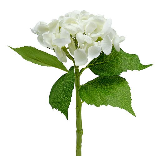 Hortensie 33cm Weiß 1St Hortensie 33cm Weiß 1St