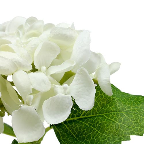Hortensie 33cm Weiß 1St