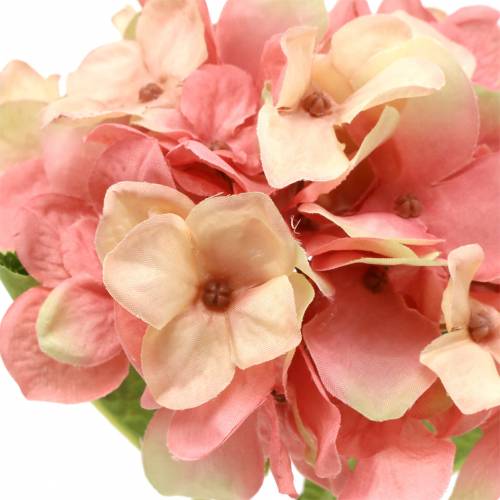 Hortensie Beige/ Rosa 35cm