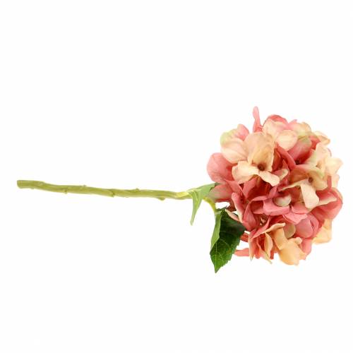 Hortensie Beige/ Rosa 35cm