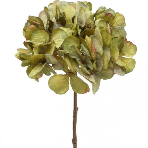 Floristik21 Hortensie künstlich Grün Kunstblume 64cm