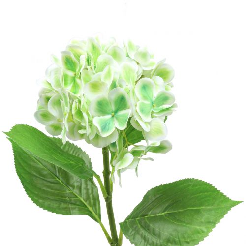 Artikel Hortensie künstlich Grün, Weiß 68cm