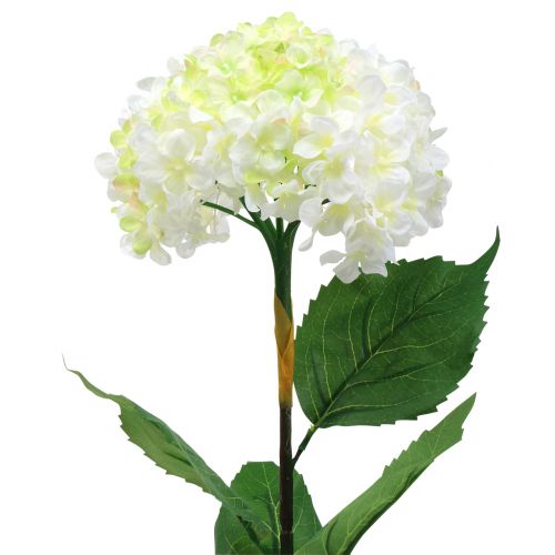 Floristik21 Hortensie Weiß künstlich 80cm