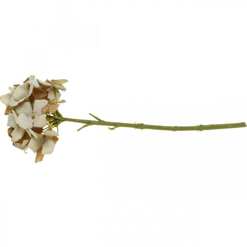 Floristik21 Hortensie Kunstblume Braun, Weiß Herbstdeko Seidenblume H32cm
