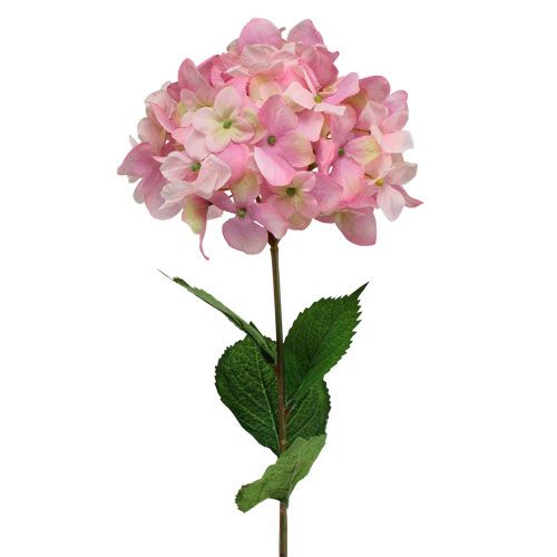 Floristik21 Hortensie Rosa 68cm