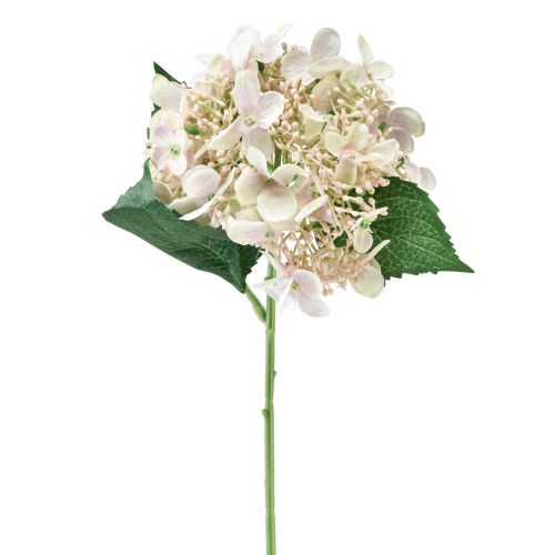 Floristik21 Hortensie künstlich Creme Gartenblume mit Knospen 52cm