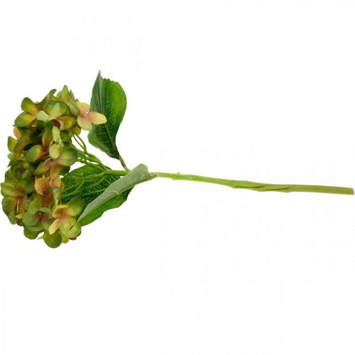 Floristik21 Hortensie künstlich Grün 33cm 1St