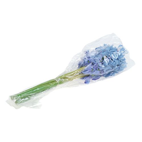Floristik21 Hyazinthe künstlich Blau, Weiß 31cm 3St