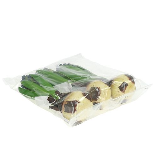 Floristik21 Hyazinthe mit Zwiebel Blau 15cm 3St