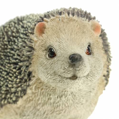 Floristik21 Dekofigur Igel 22cm