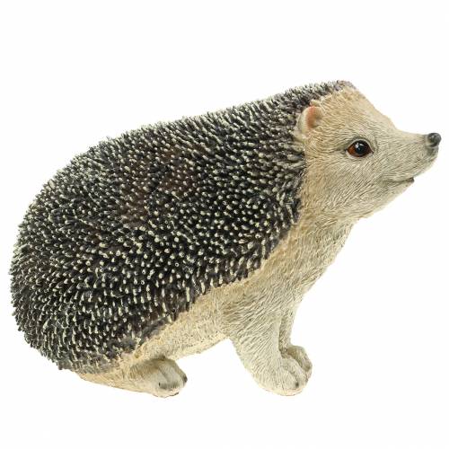 Floristik21 Dekofigur Igel 22cm