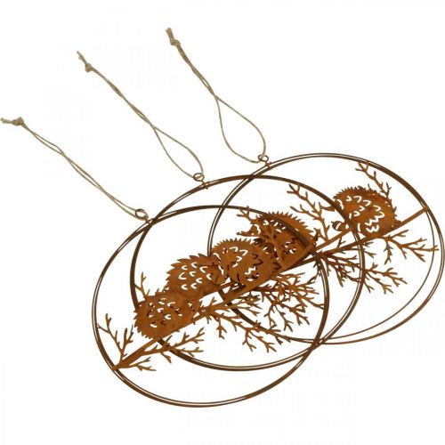 Artikel Metallanhänger, Igel auf Ast, Herbstdeko, Dekoring Edelrost Ø15,5cm 3 St