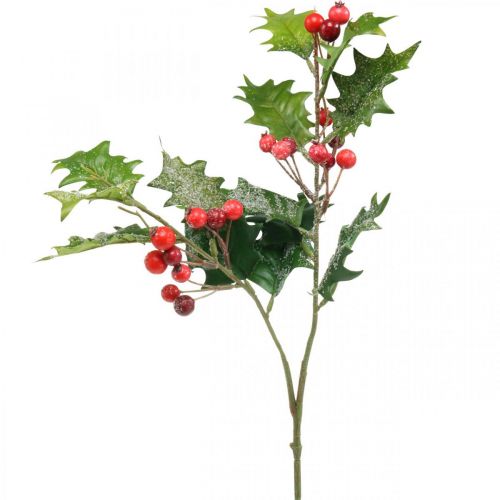 Floristik21 Künstlicher Ilexzweig, Winterbeere, Weihnachtsdeko, Stechpalme beschneit Grün, Rot L63cm