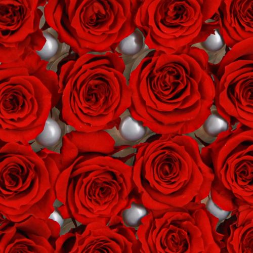 Artikel Infinity Rosen Mini Rosenköpfe Rot Ø3cm Dekoration 16 Stk kaufen