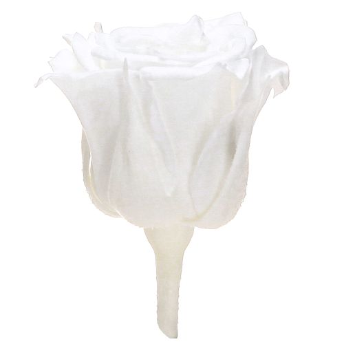 Artikel Infinity Rosen Echte Rosenköpfe Mini Rosen Weiß Ø3cm 16 St Konservierte Blüten Langlebig Deko
